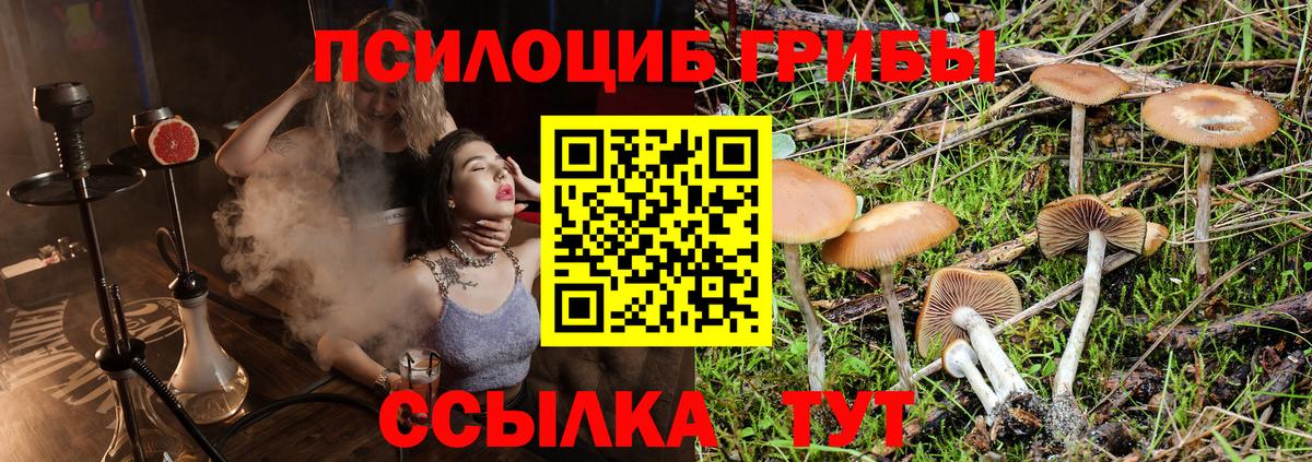Псилоцибиновые грибы Magic Shrooms Крымск